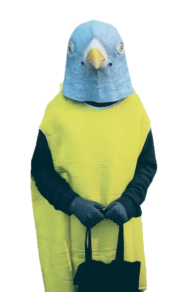 This is me! Uberpigeon